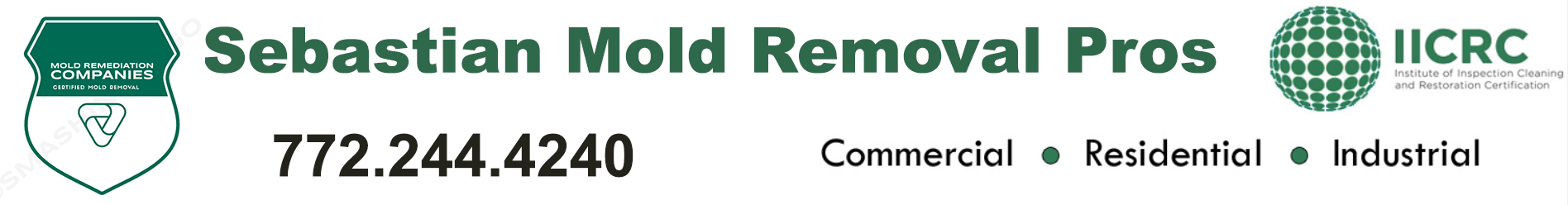 Sebastian Mold Removal Pros